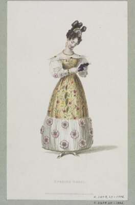 Evening Dress
