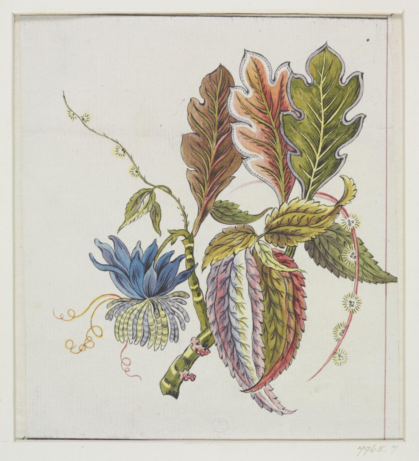 Drawing, early 19th century