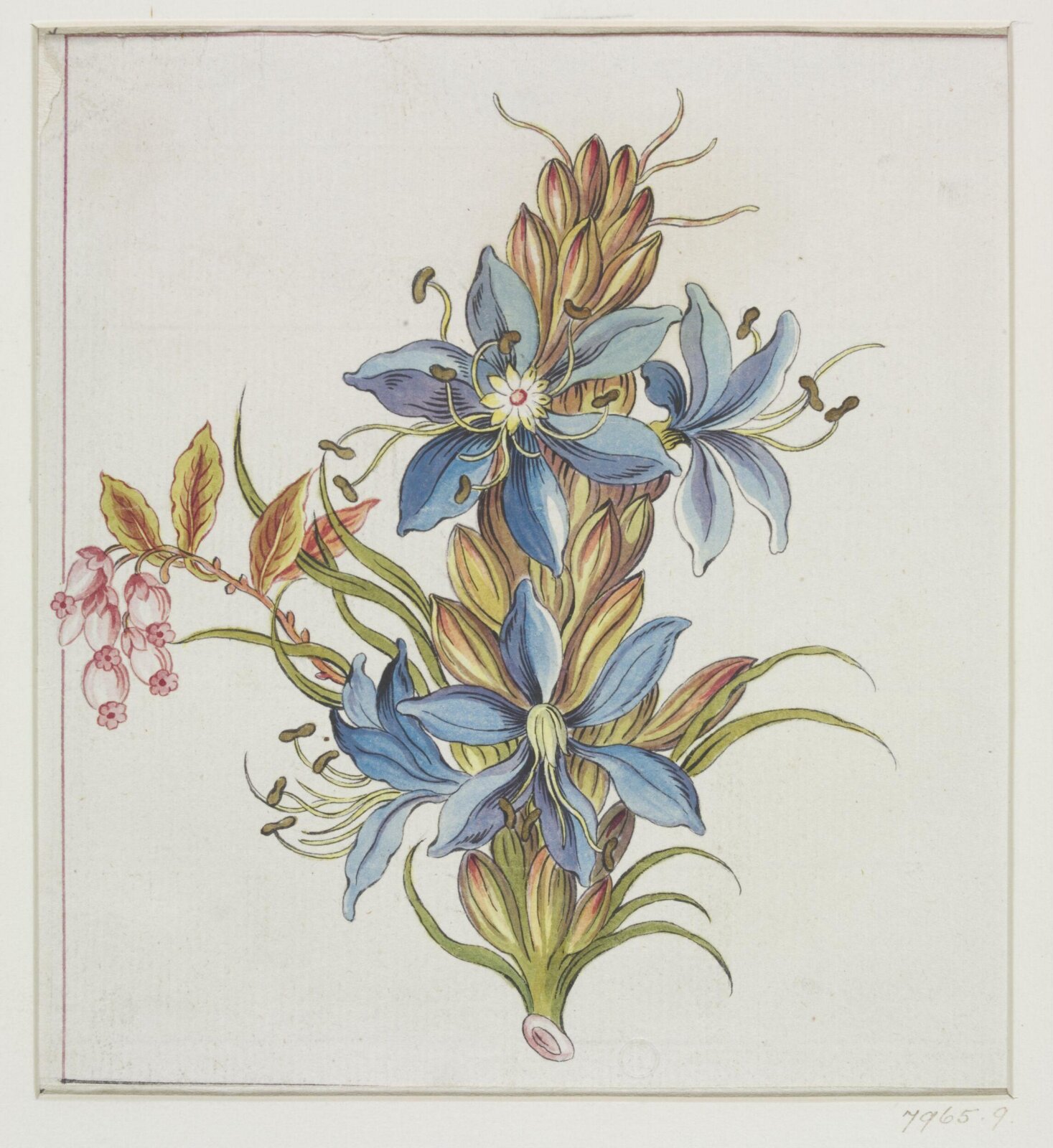 Drawing, early 19th century