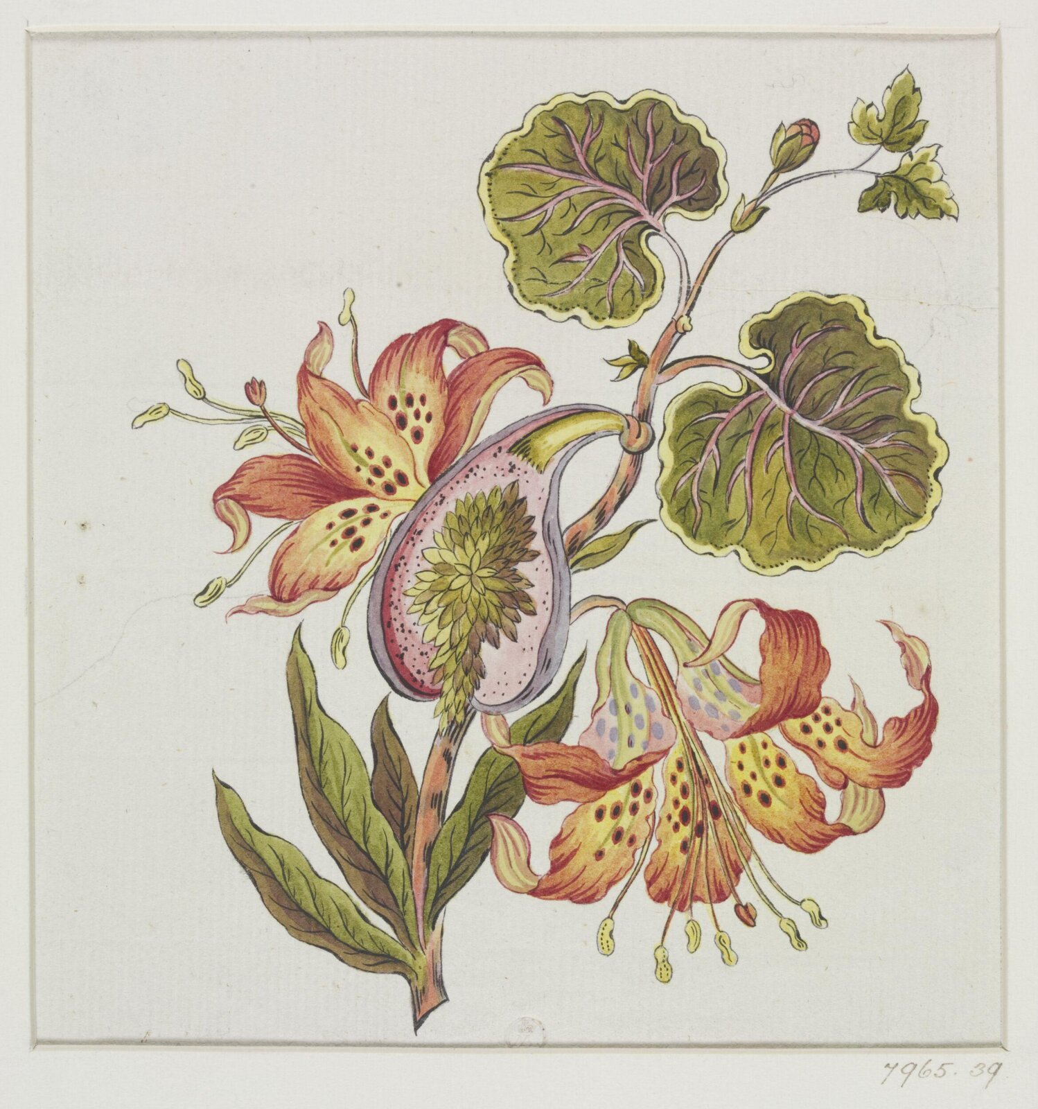Drawing, early 19th century