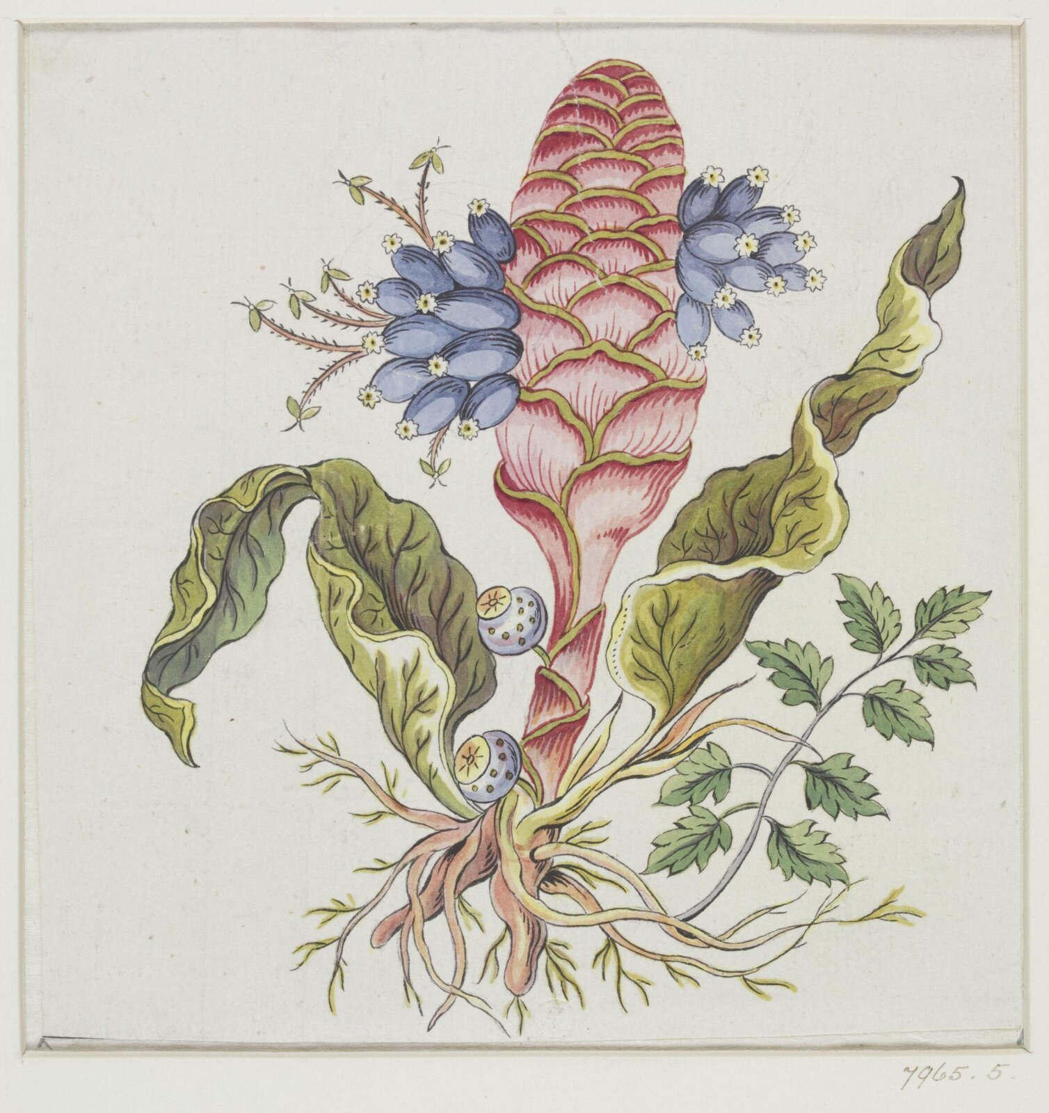 Drawing, early 19th century