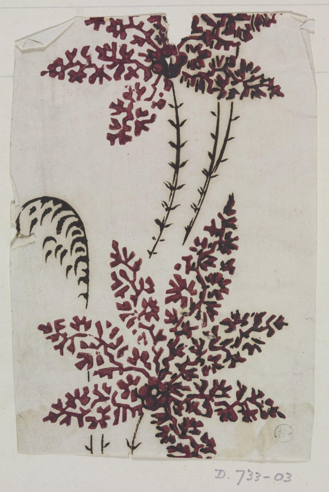 Drawing