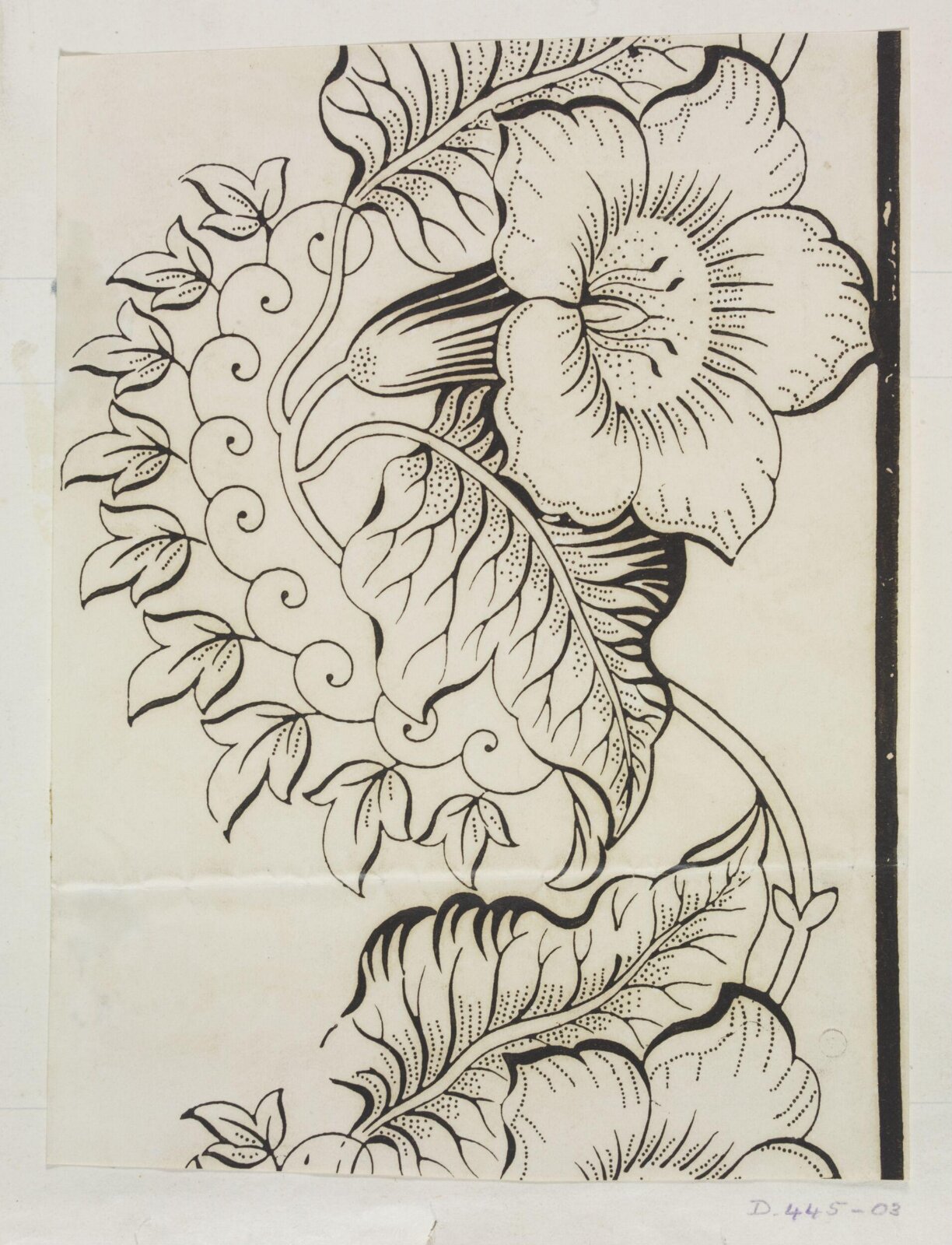Drawing
