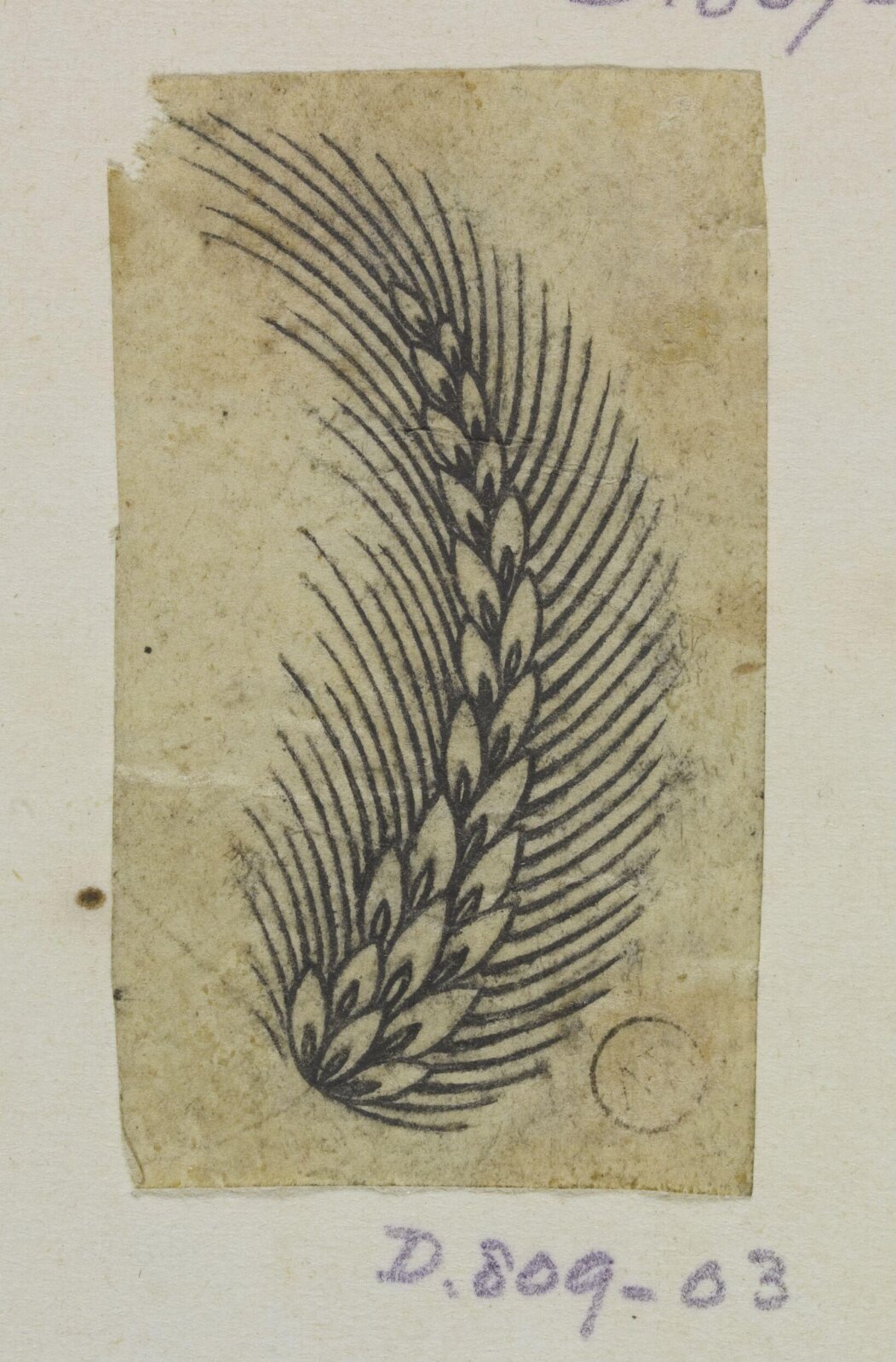 Drawing