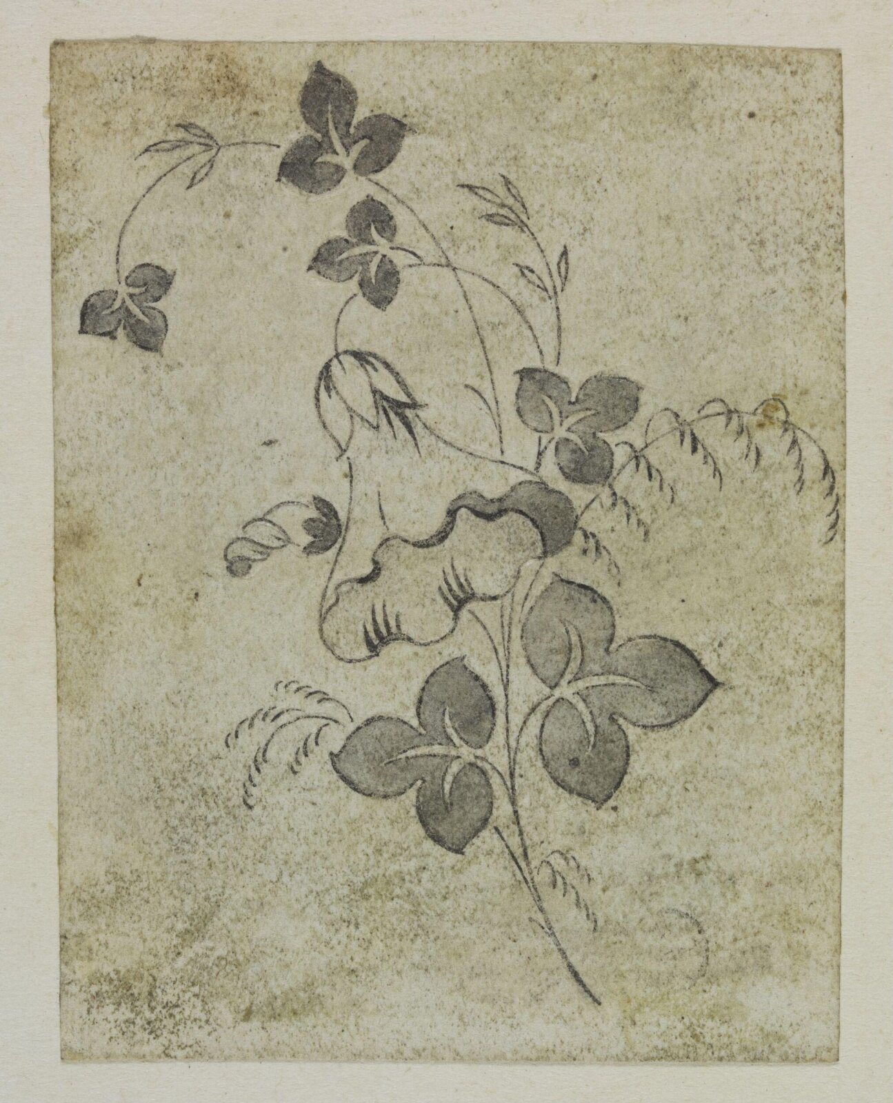 Drawing