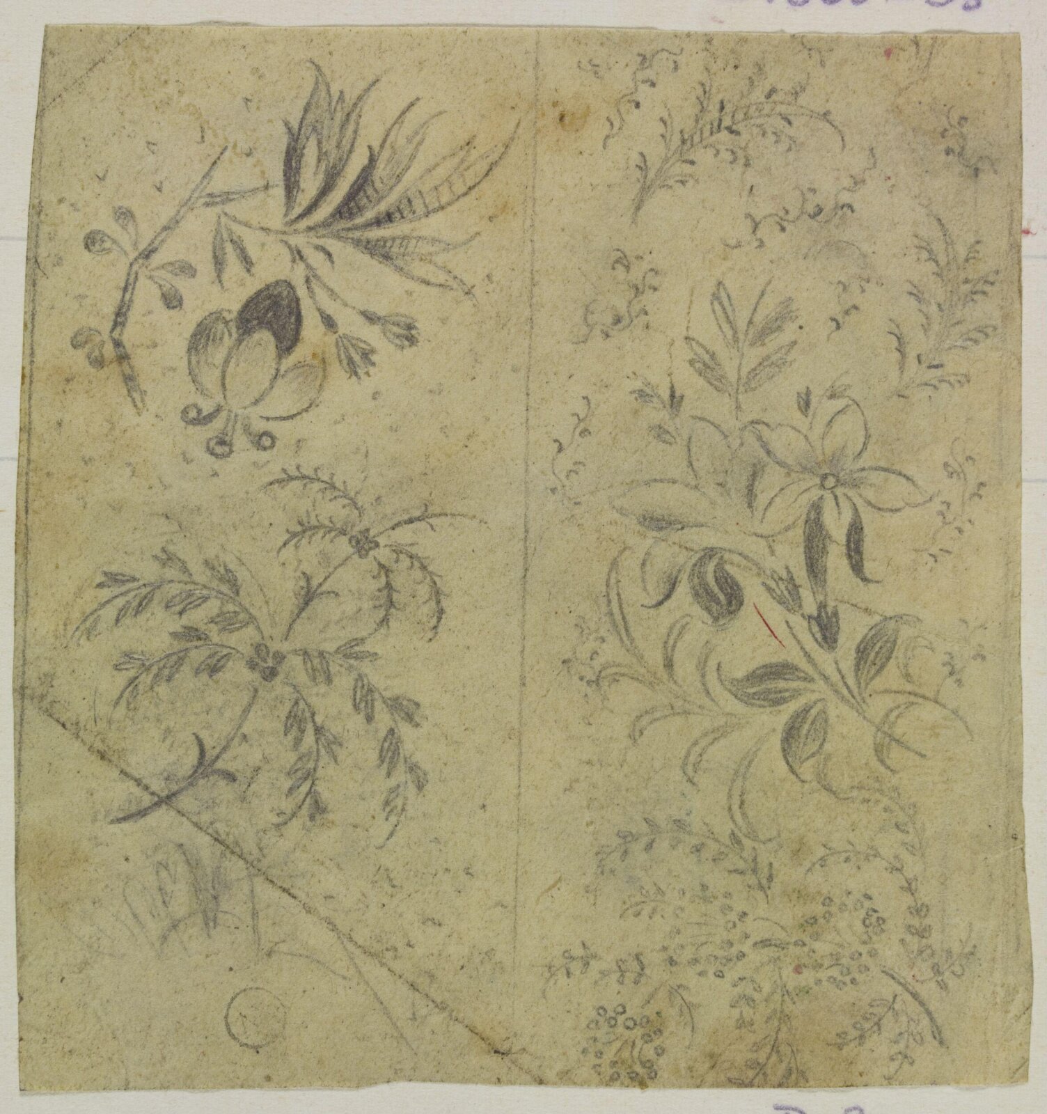 Drawing