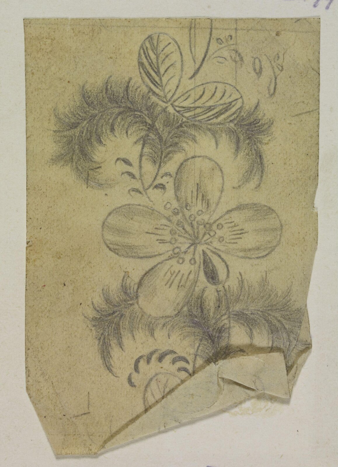 Drawing