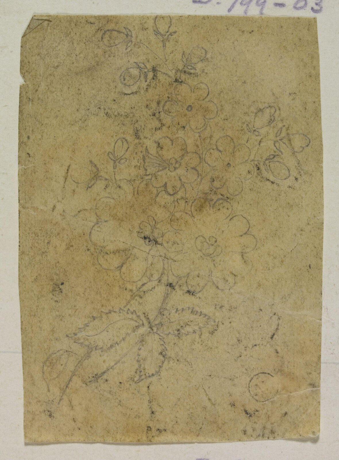 Drawing