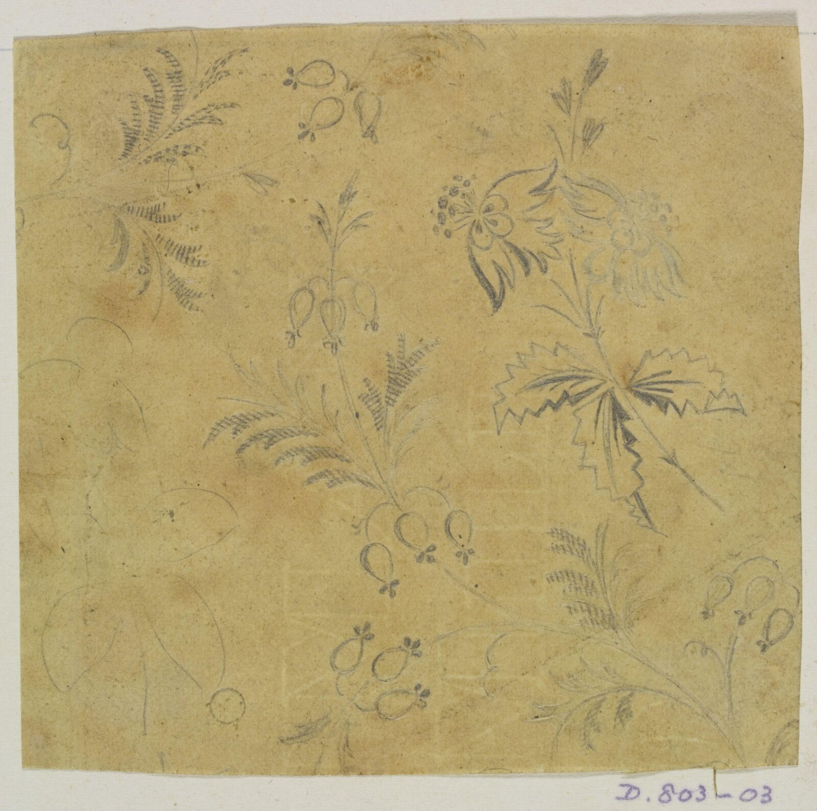 Drawing