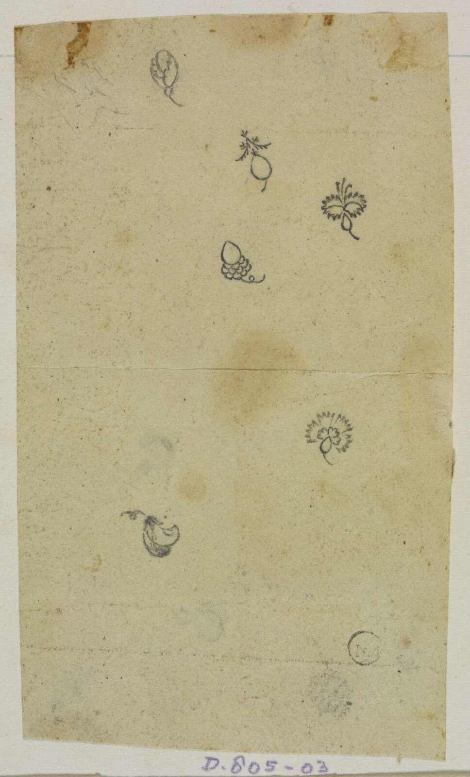 Drawing