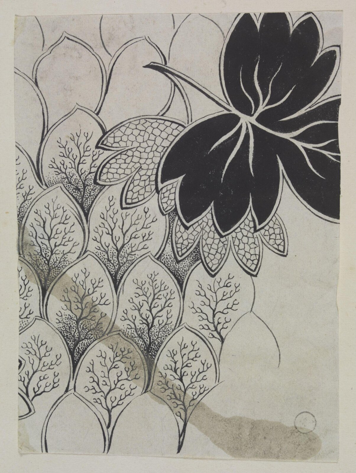 Drawing
