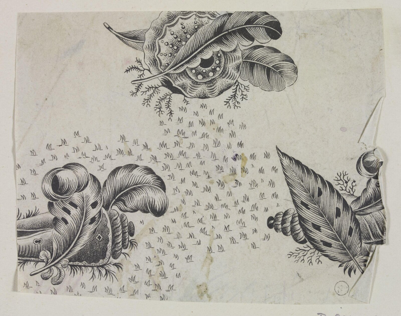 Drawing
