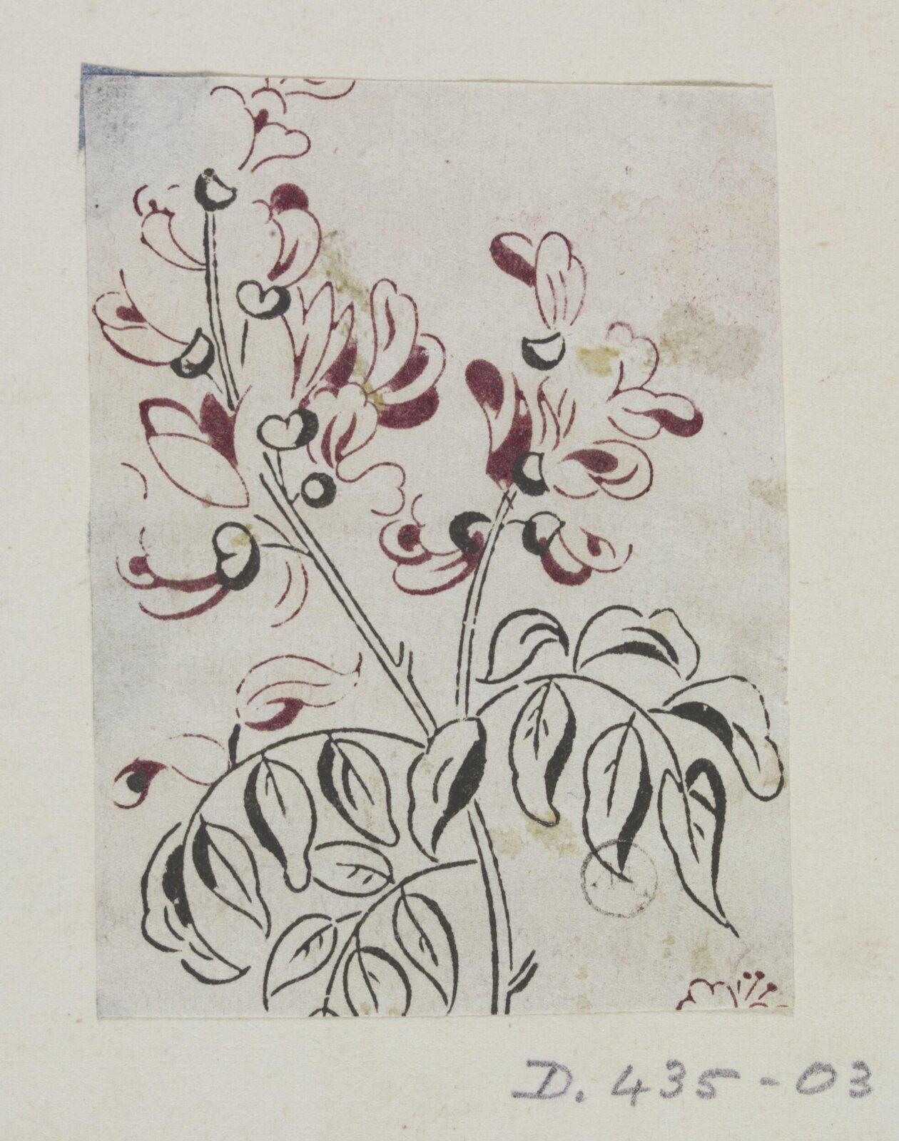 Drawing