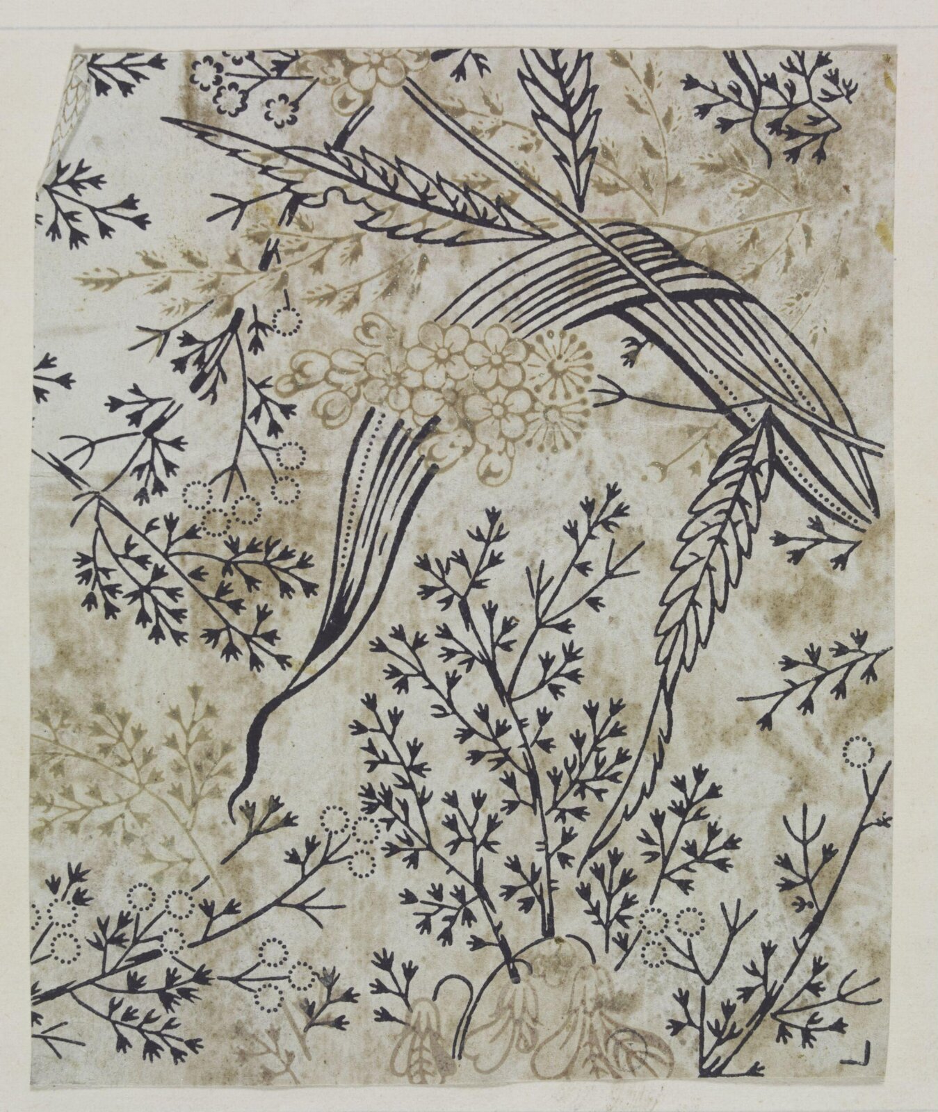 Drawing