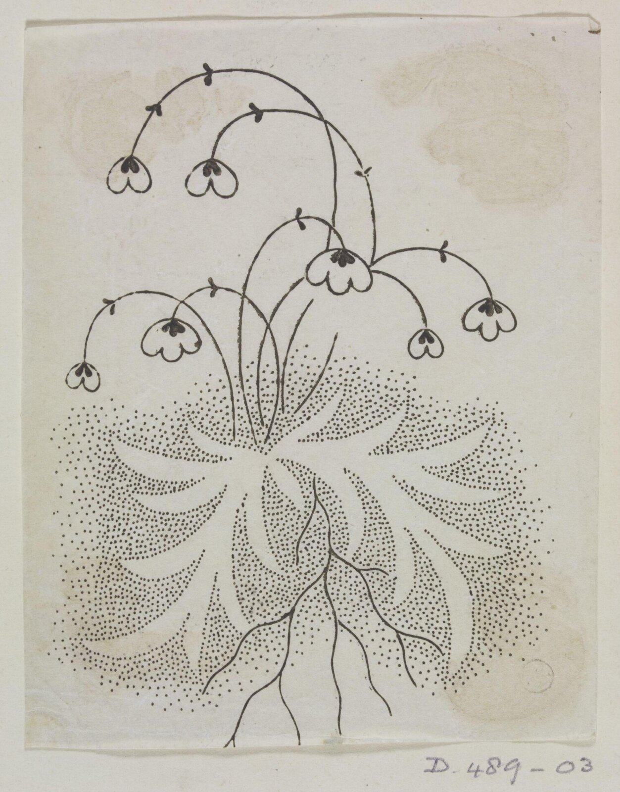 Drawing