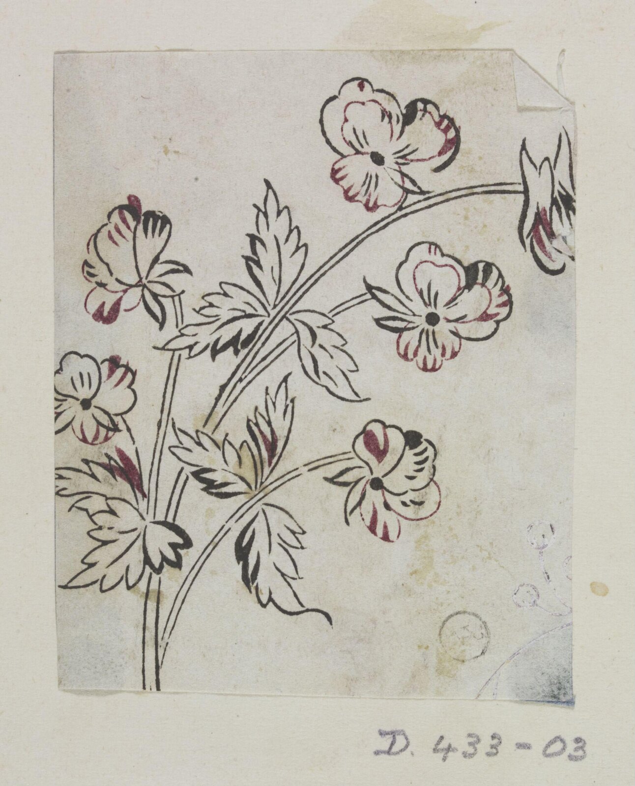 Drawing