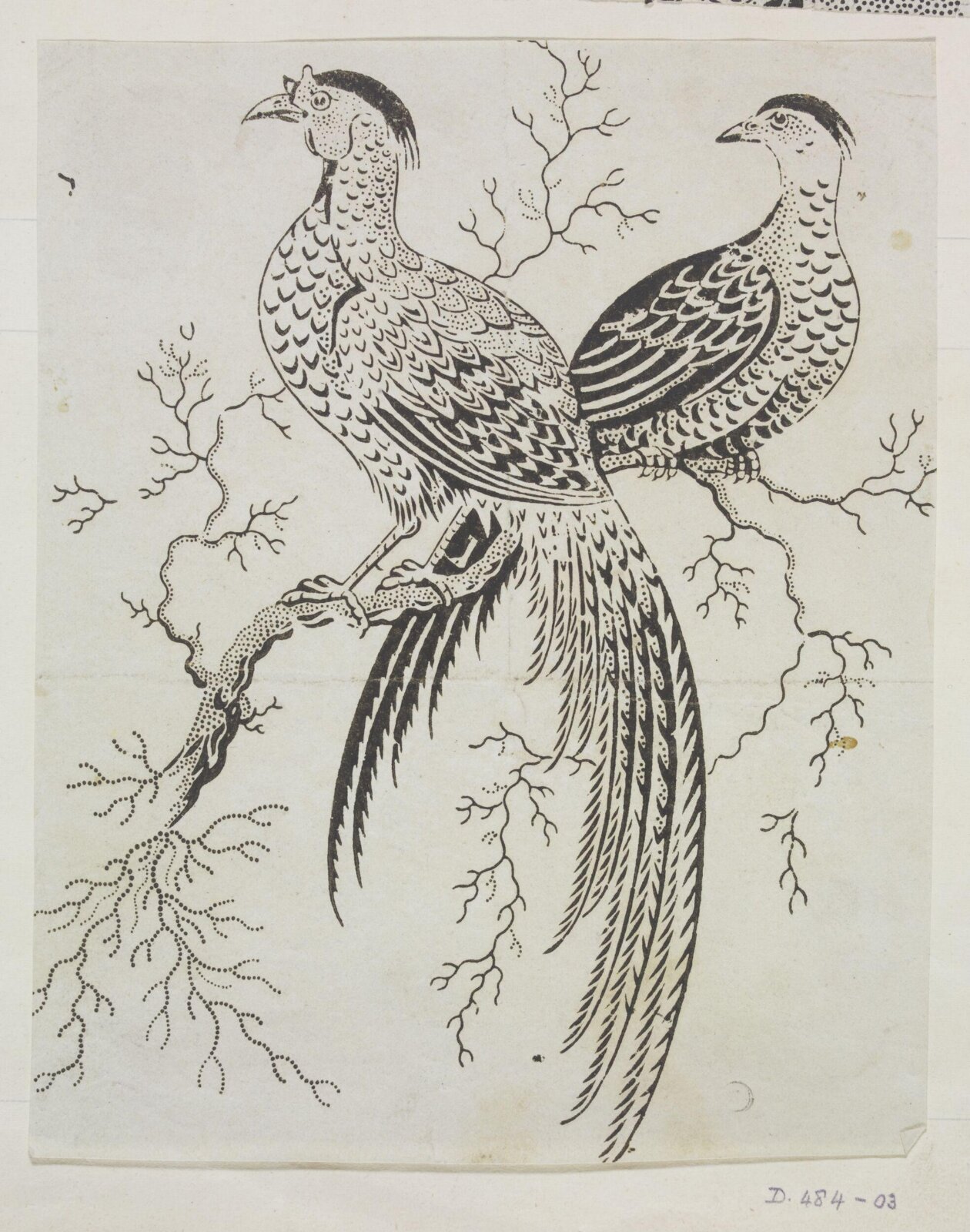 Drawing