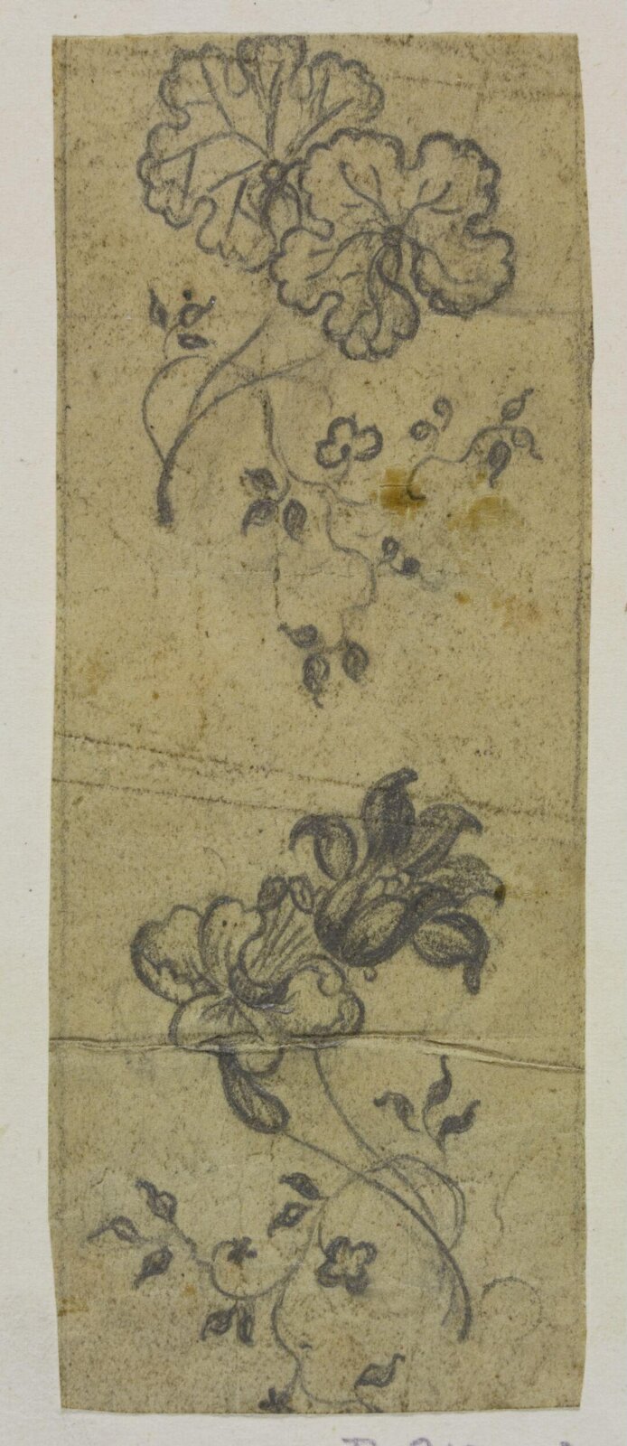 Drawing