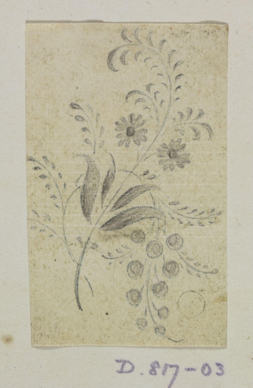 Drawing