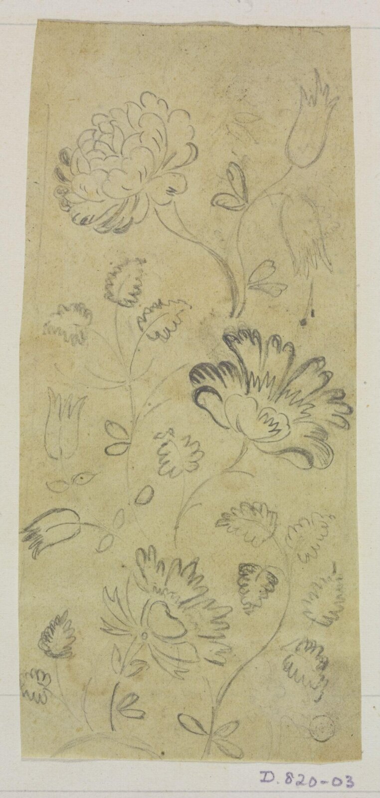 Drawing
