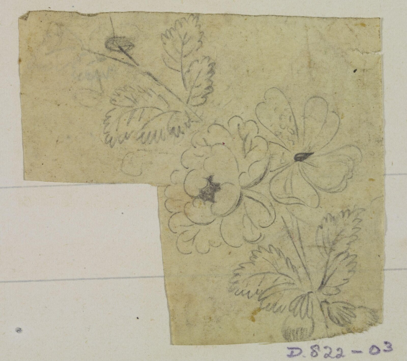 Drawing