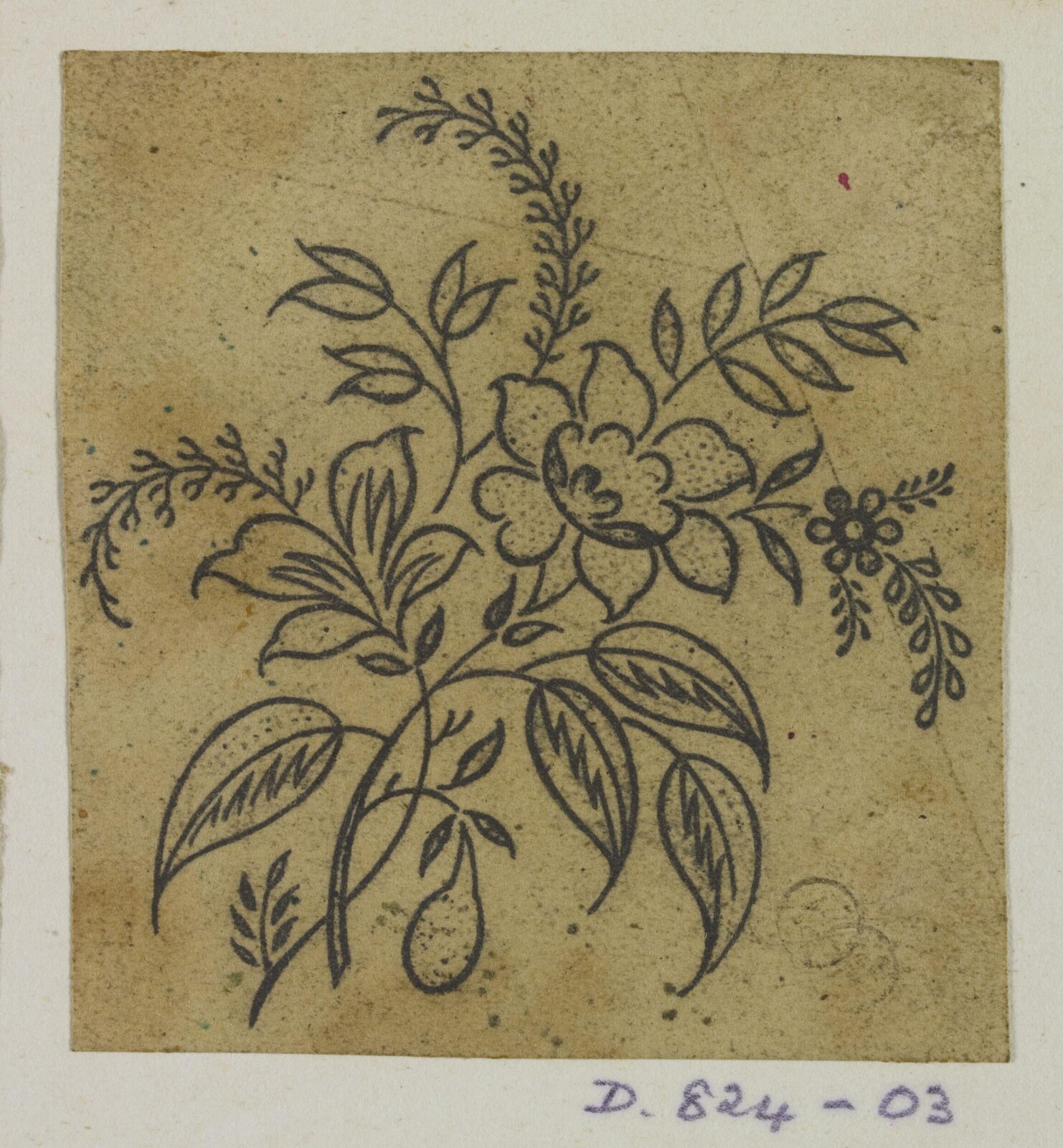 Drawing