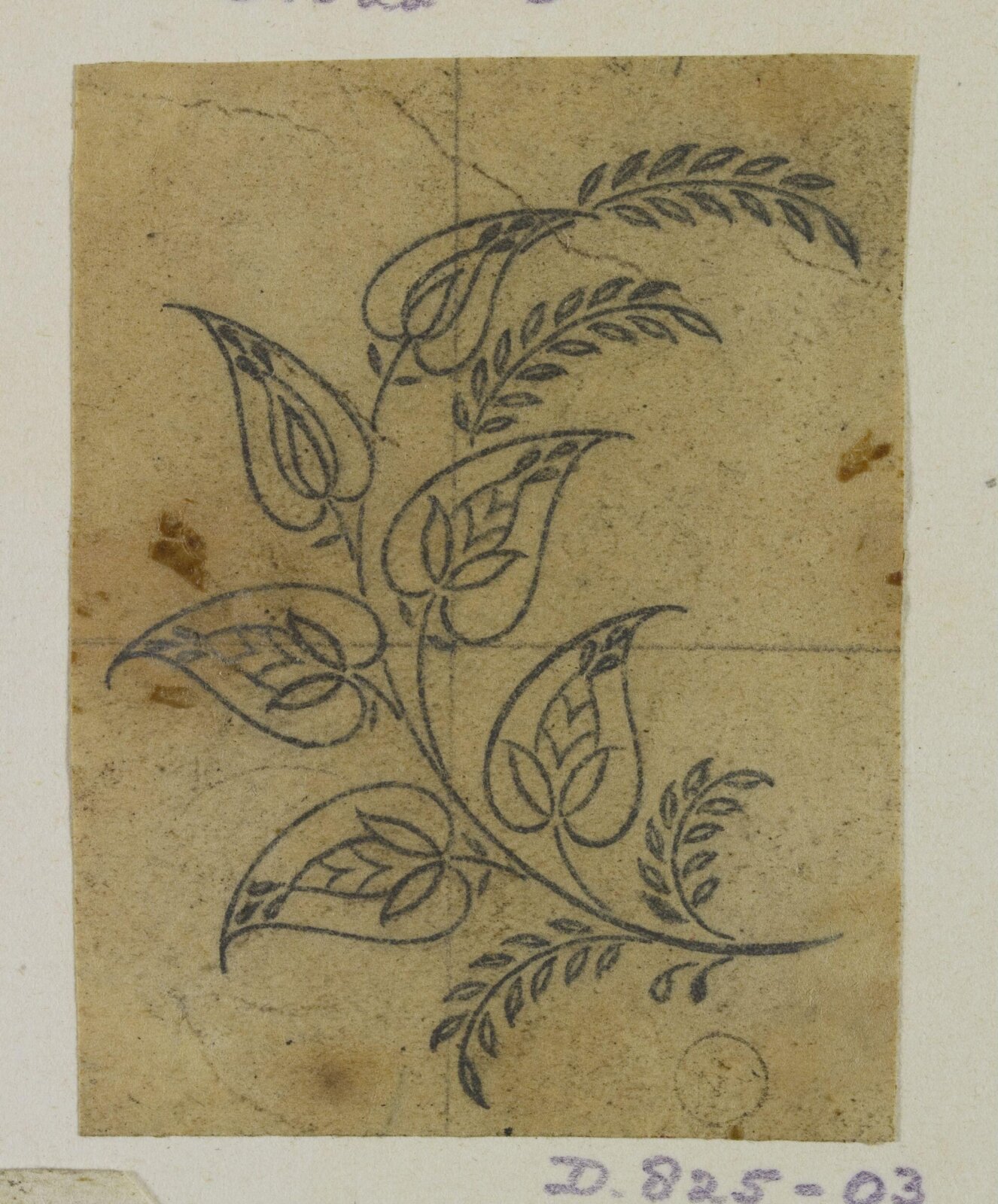 Drawing