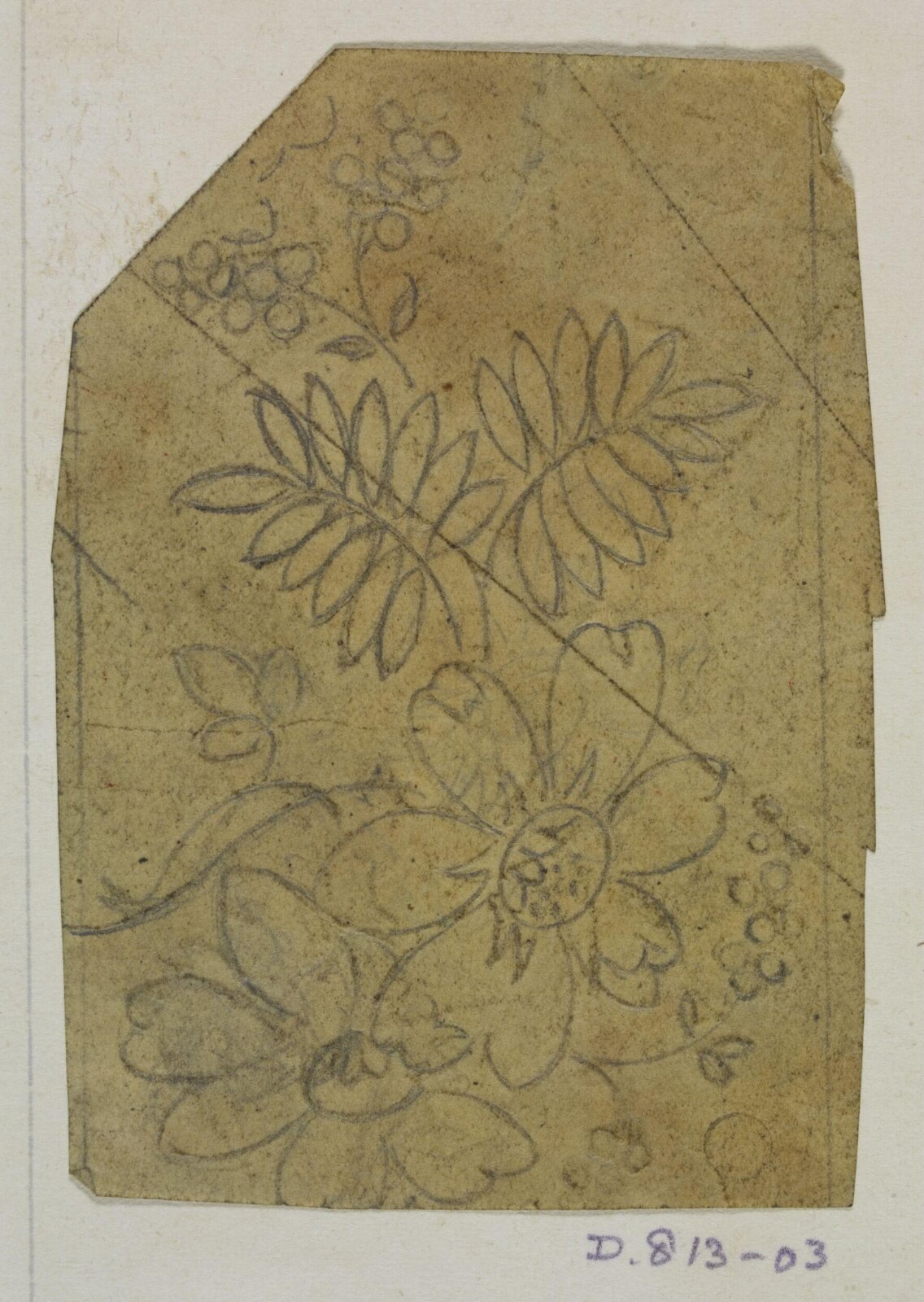 Drawing