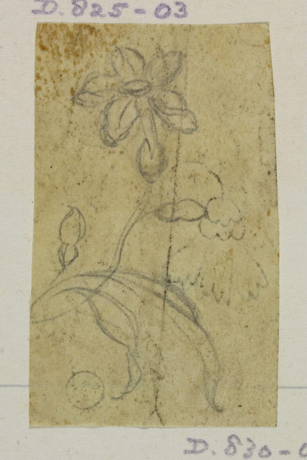 Drawing