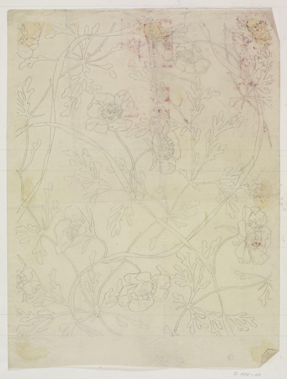 Drawing
