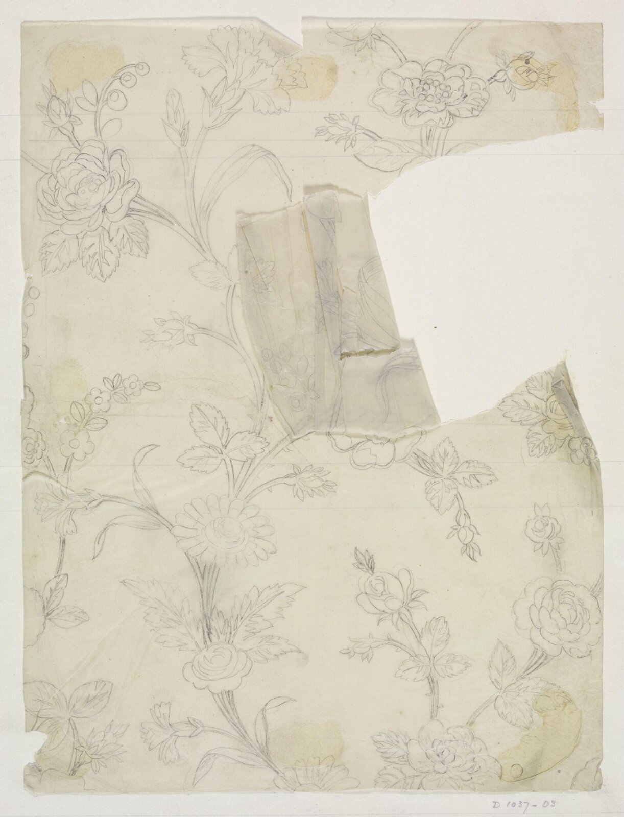 Drawing