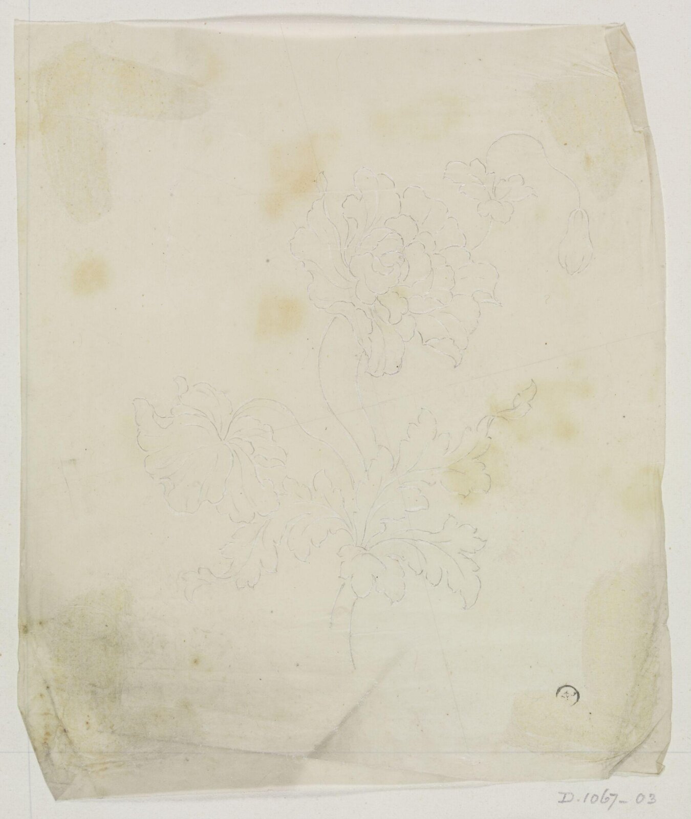 Drawing