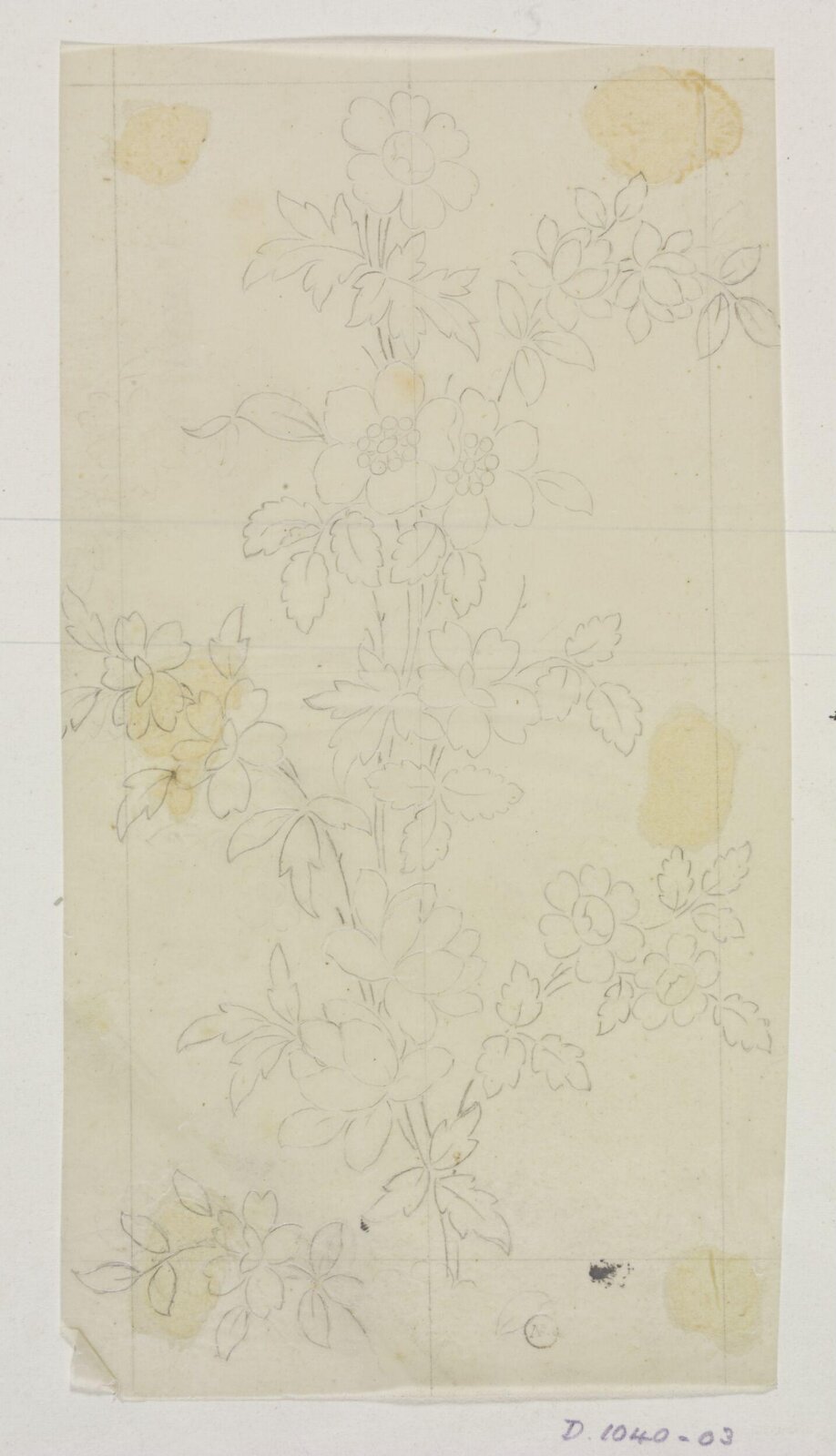 Drawing