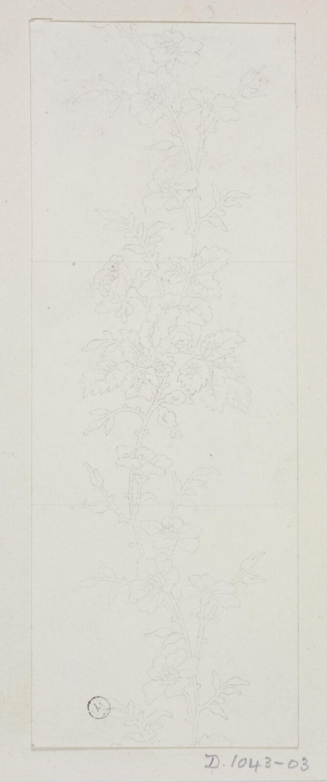 Drawing