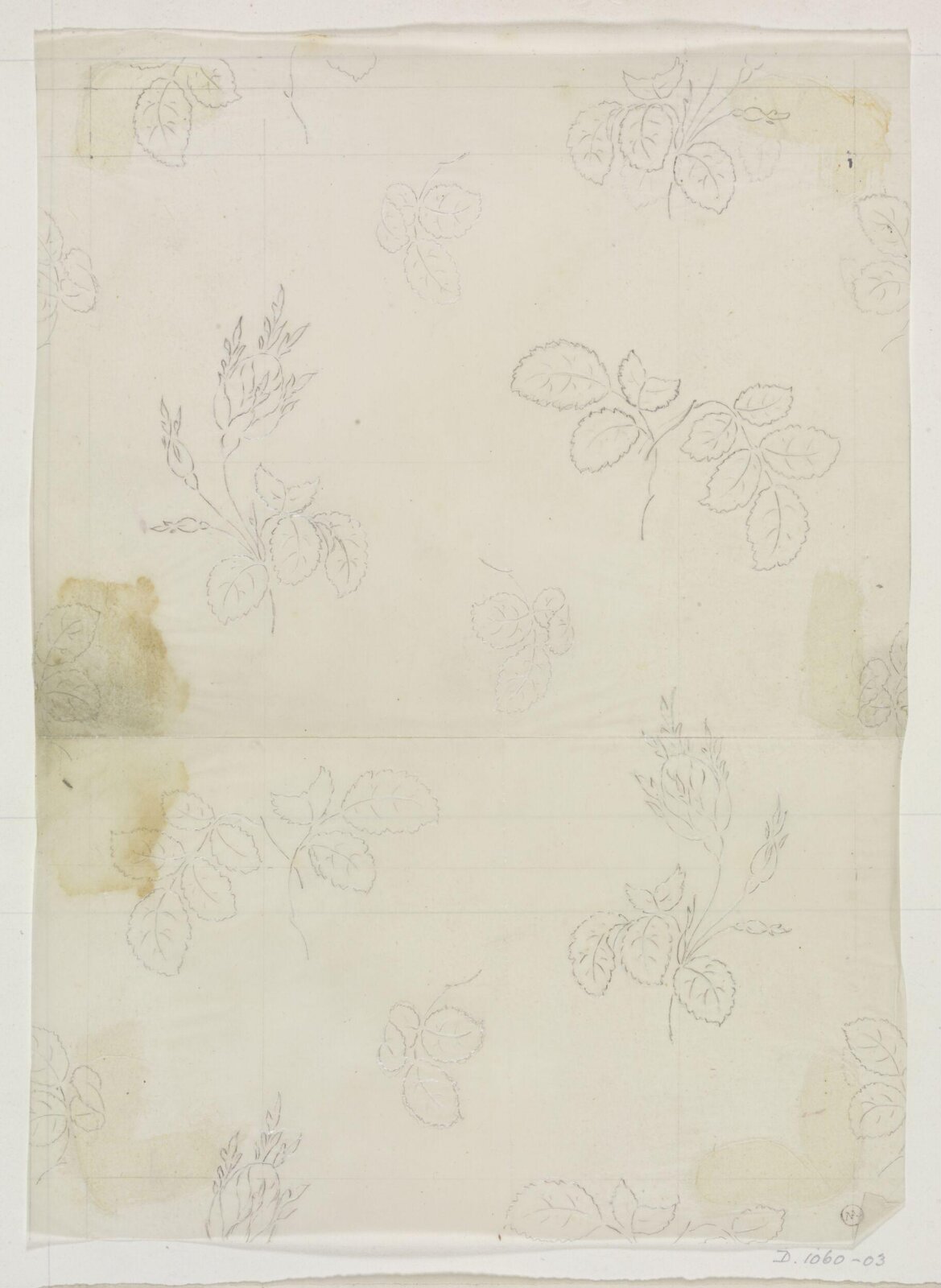 Drawing