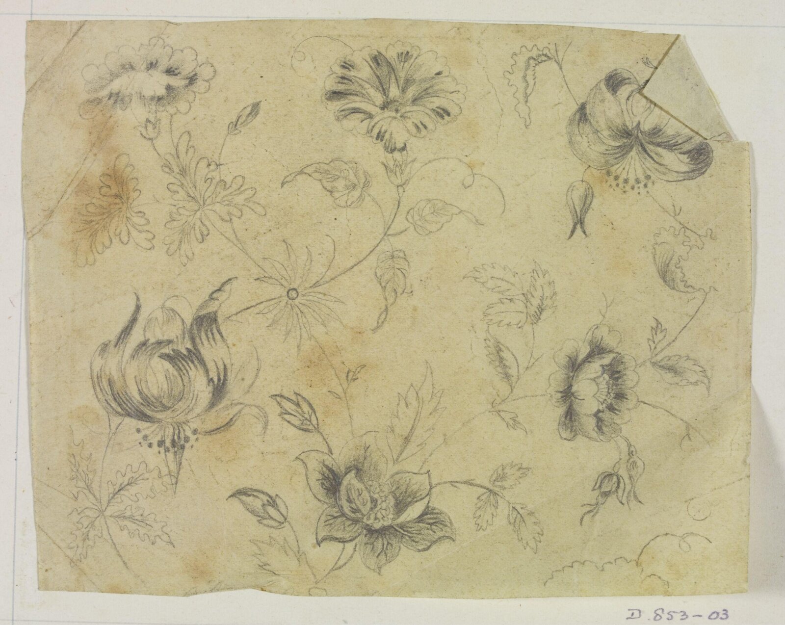 Drawing