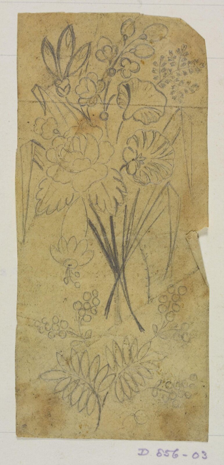 Drawing