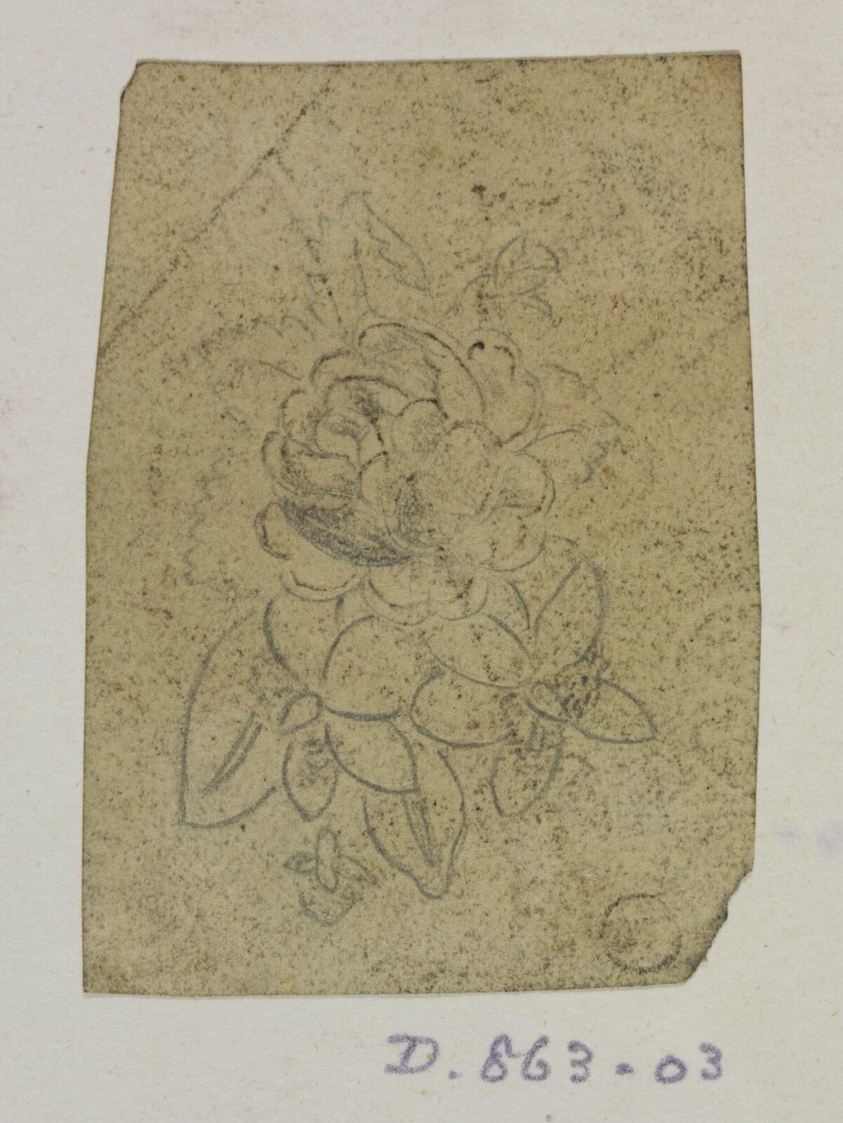 Drawing