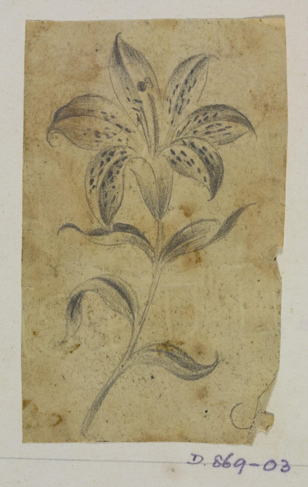Drawing