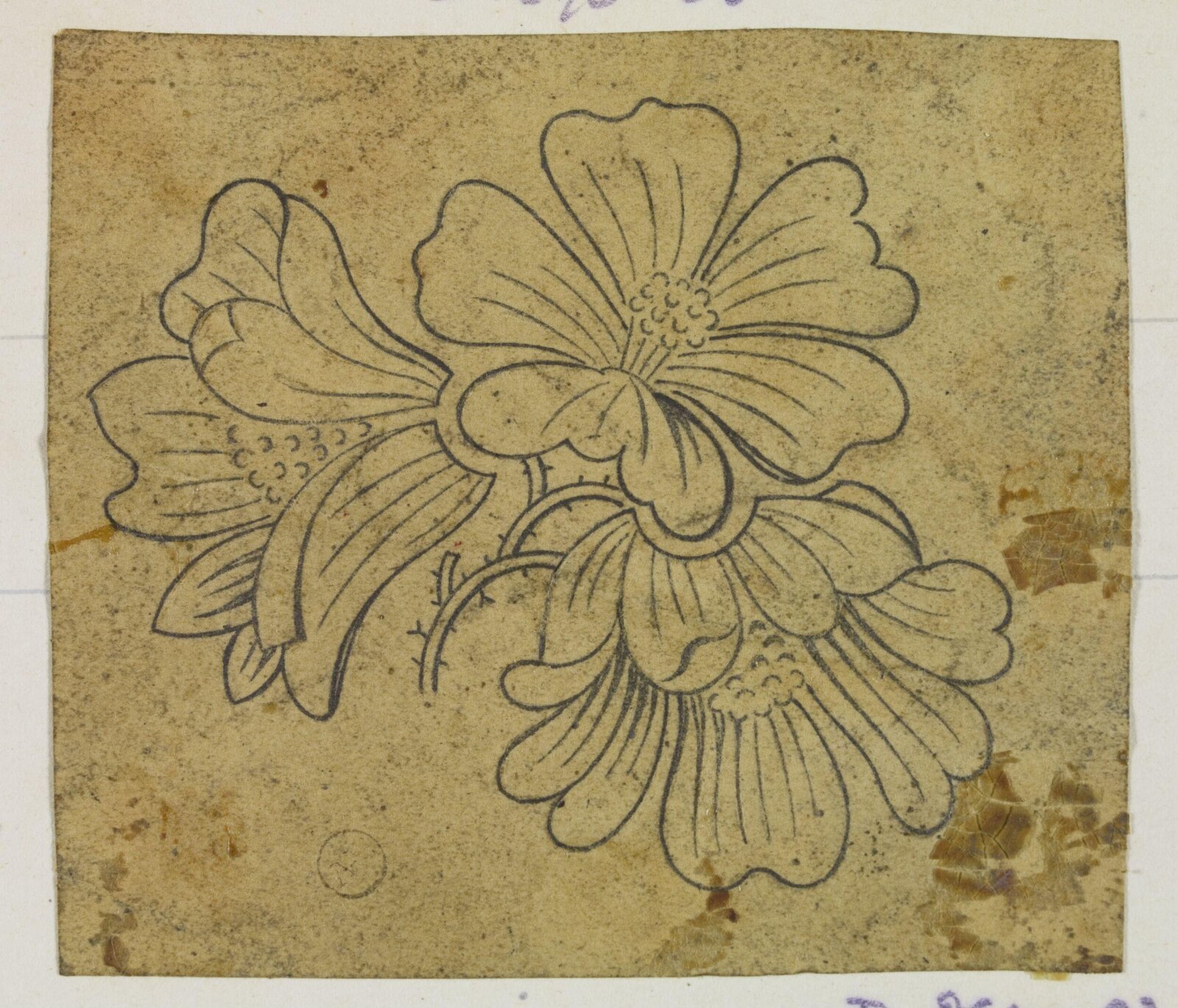 Drawing