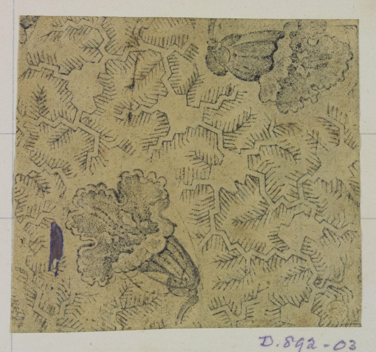 Drawing