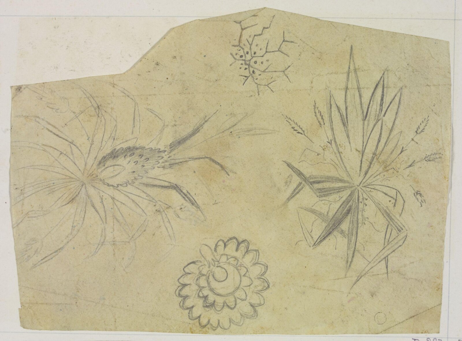 Drawing