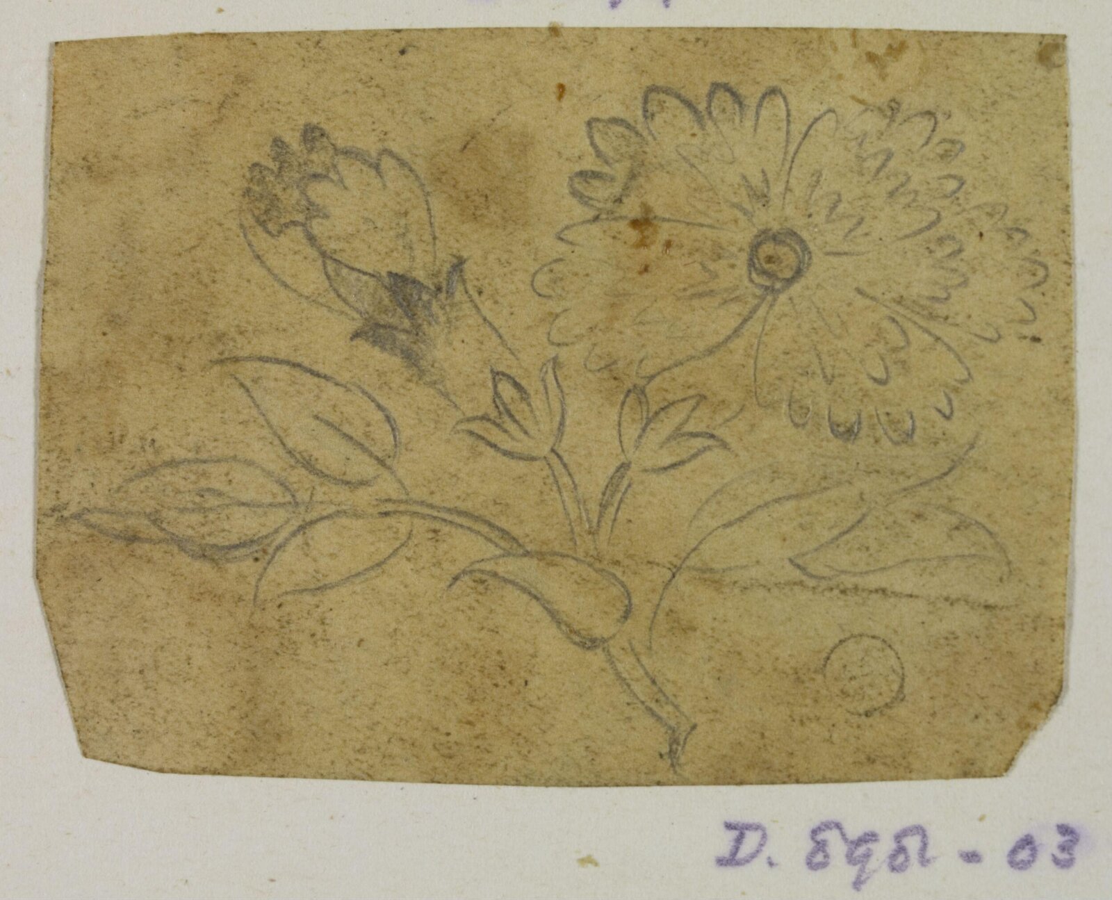 Drawing