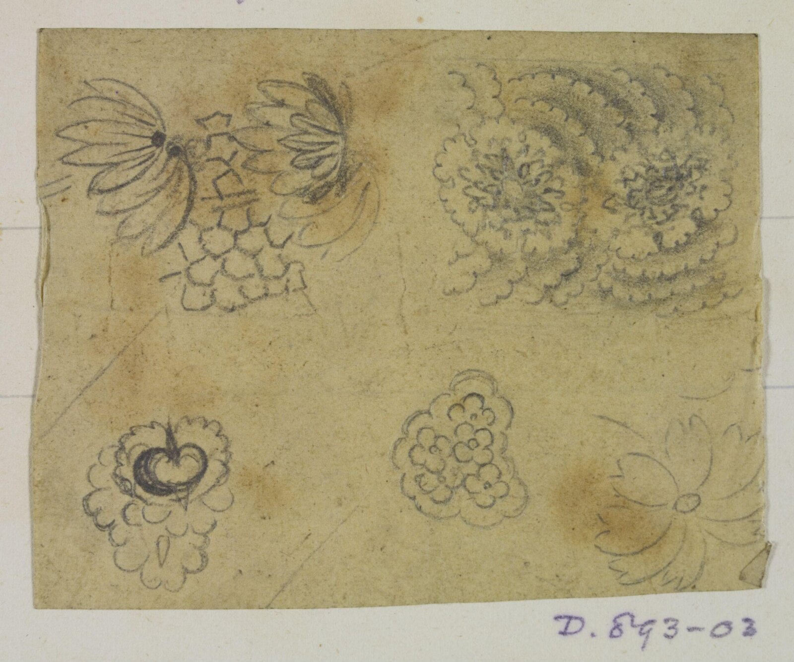 Drawing