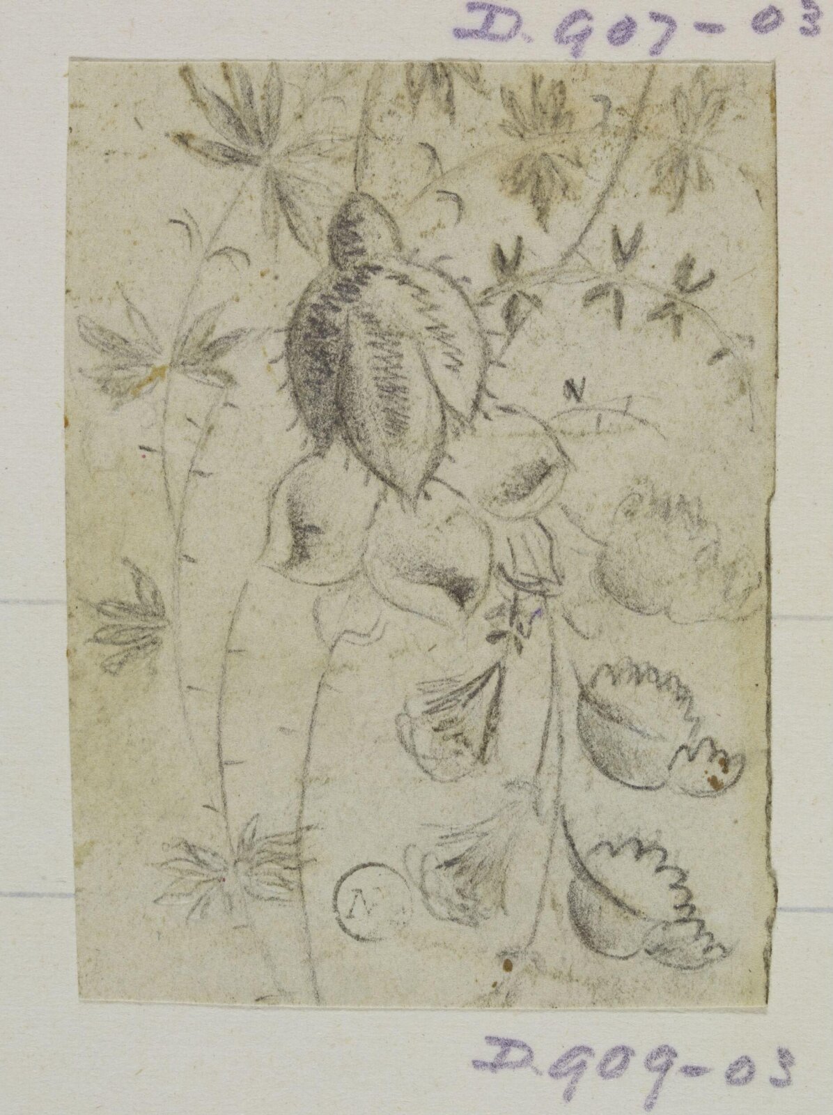 Drawing