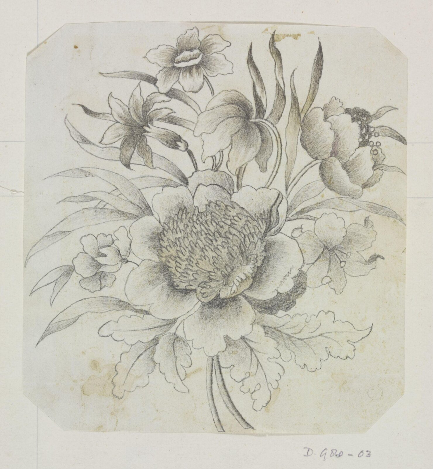 Drawing