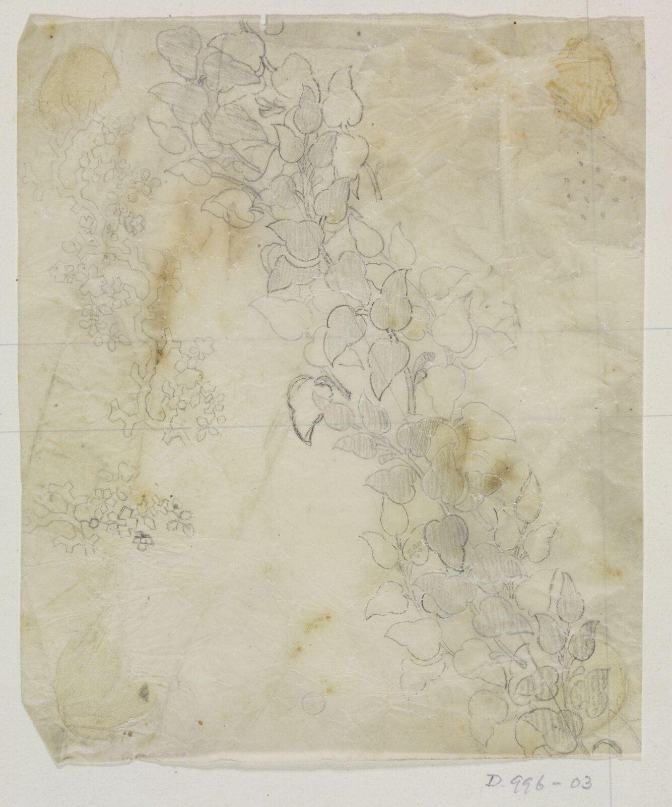 Drawing