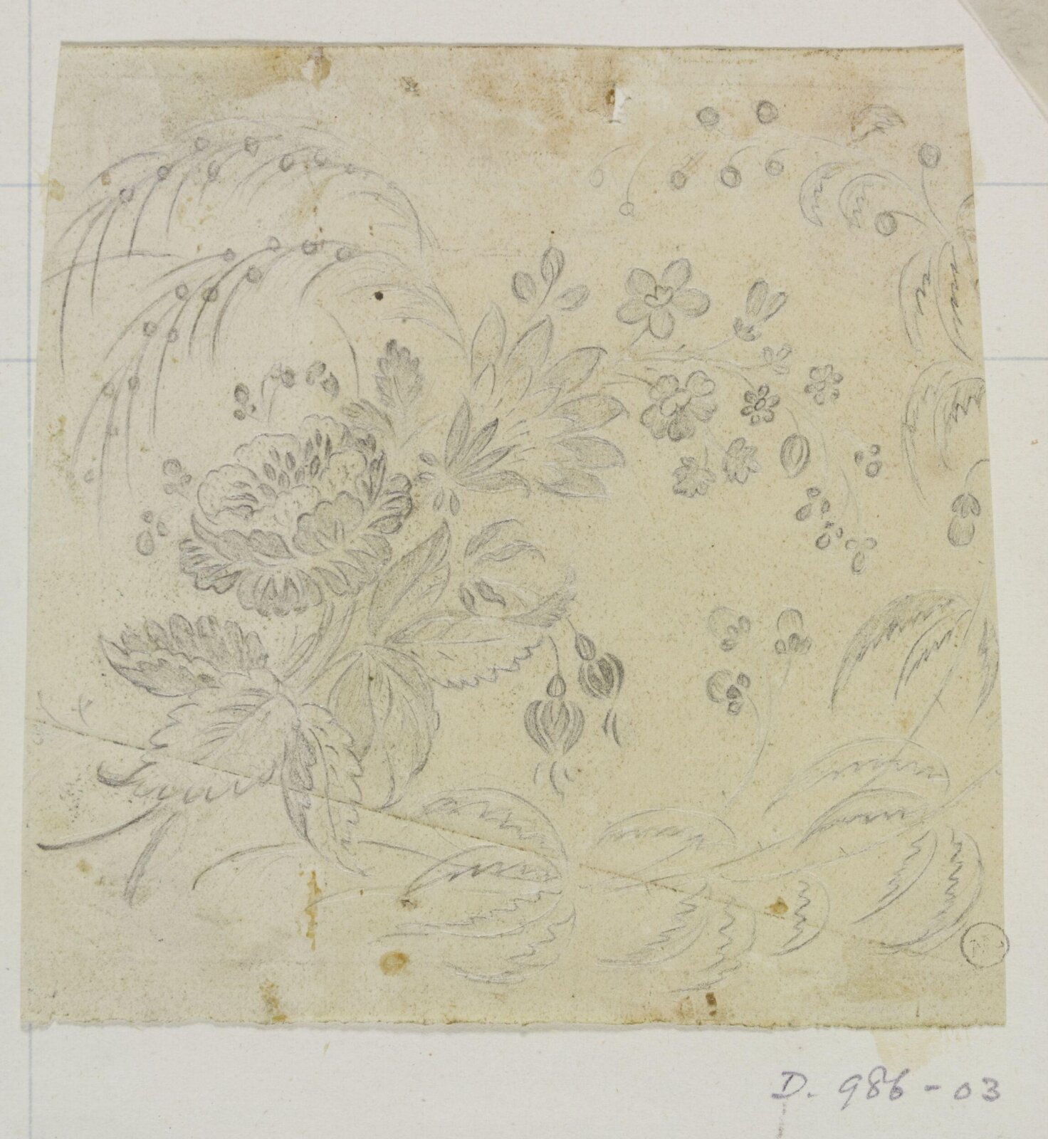 Drawing