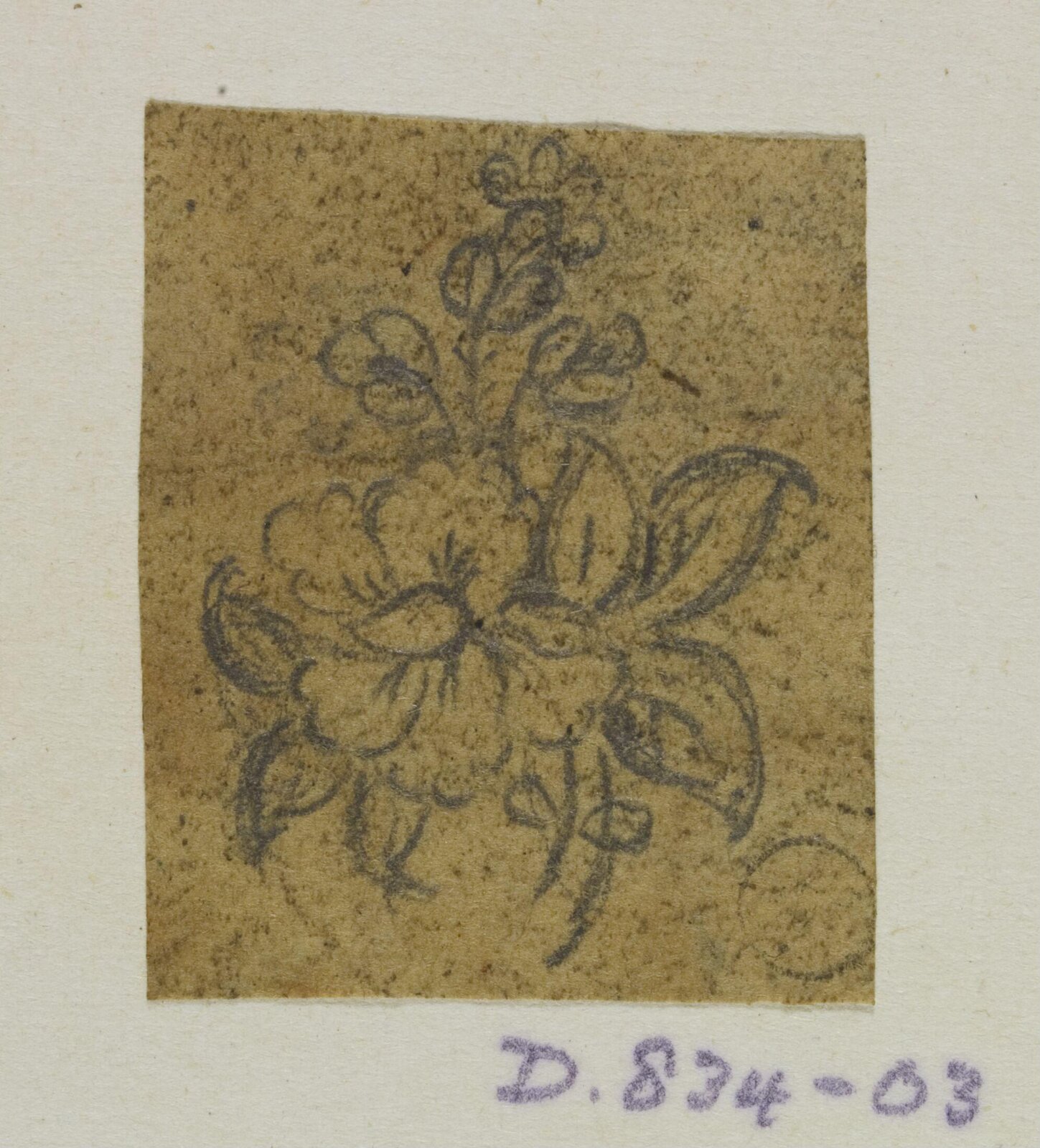Drawing