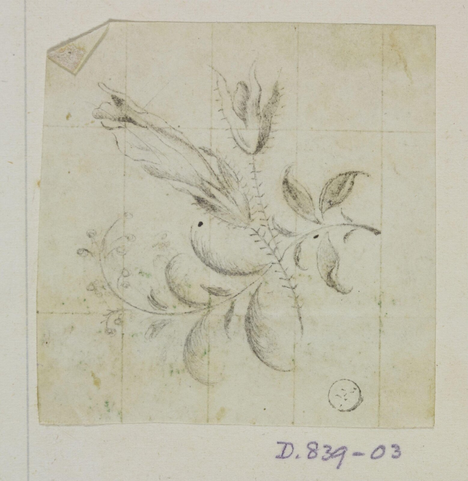 Drawing